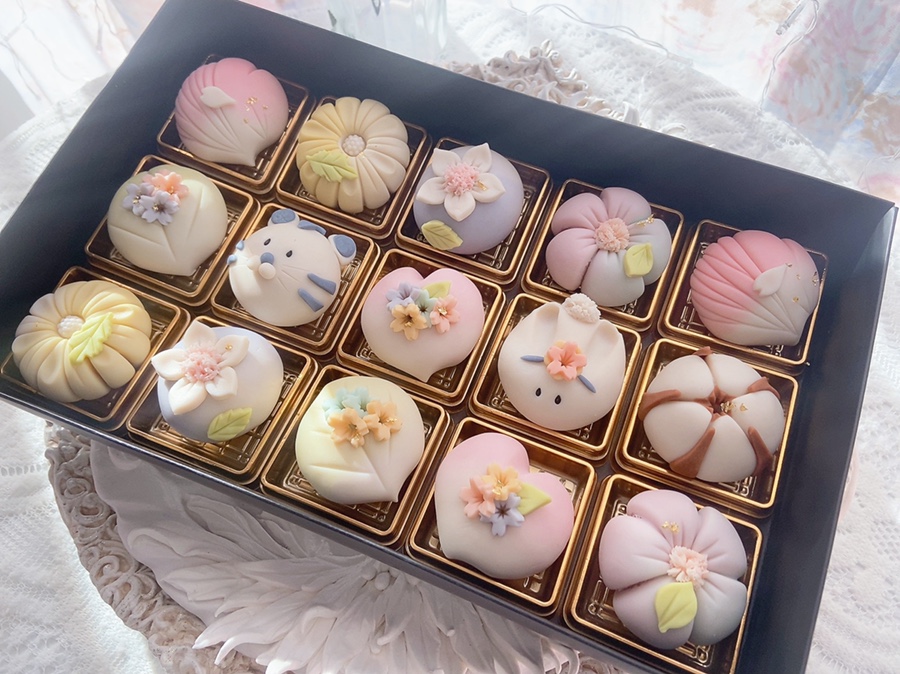 달콩정원 이미지
