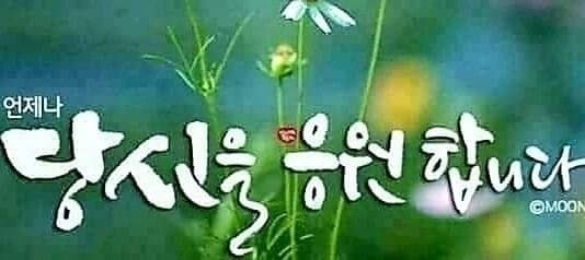 케이뷰티 이미지