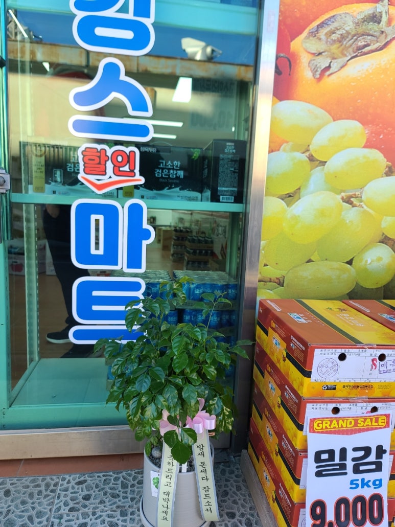 해피꽃방 이미지