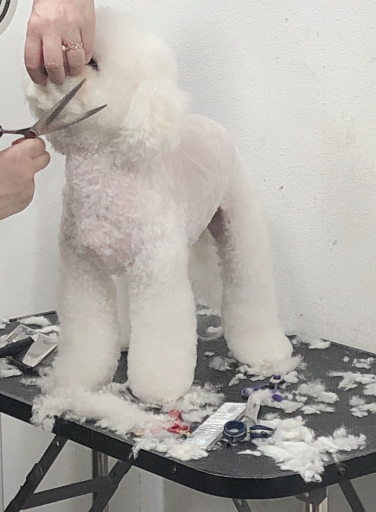 초원샵 이미지