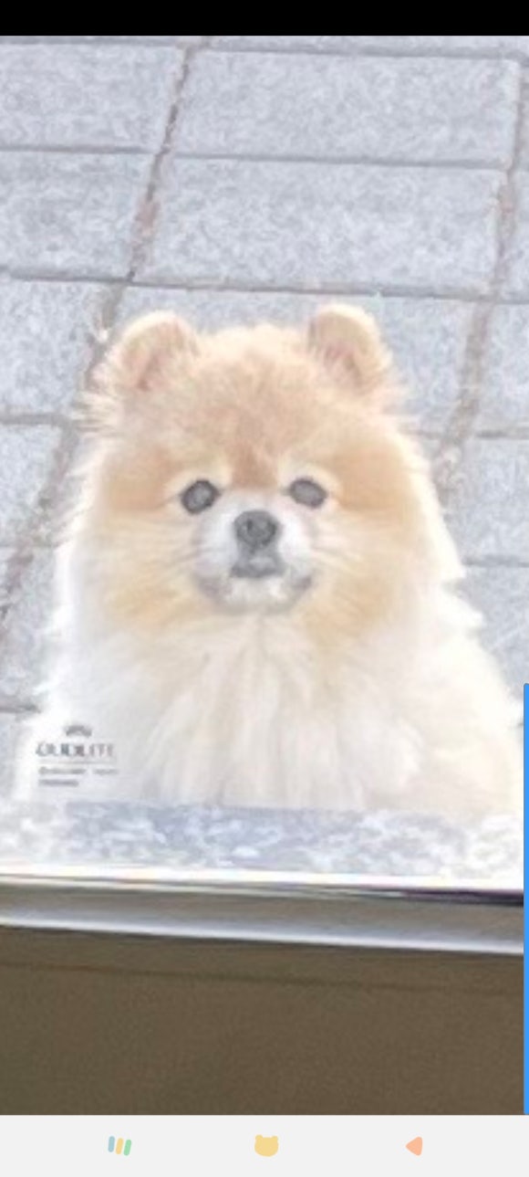 카페오롯이 이미지