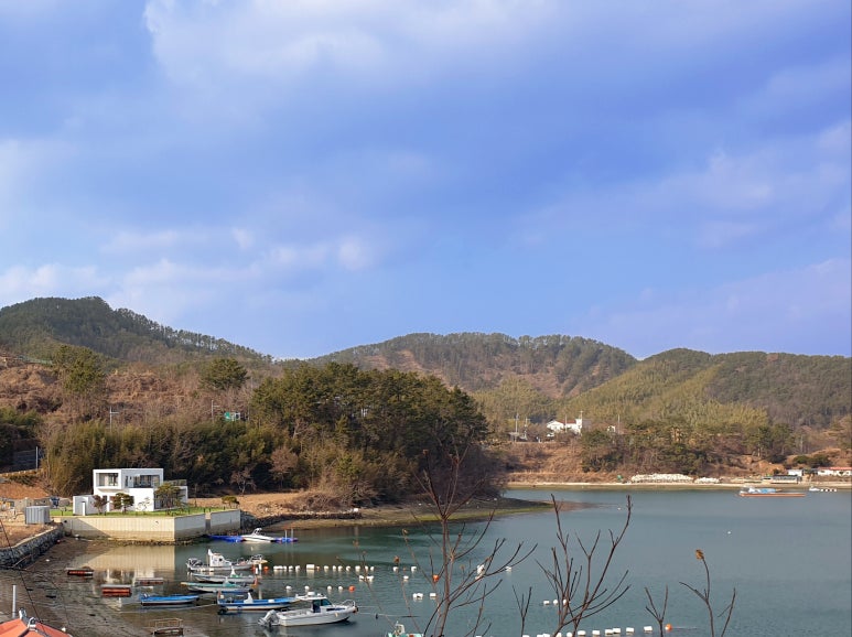 성종합건축사사무소 이미지