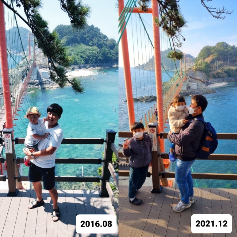 연대도달맞이 이미지