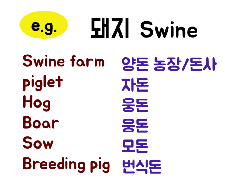 이도인력 이미지