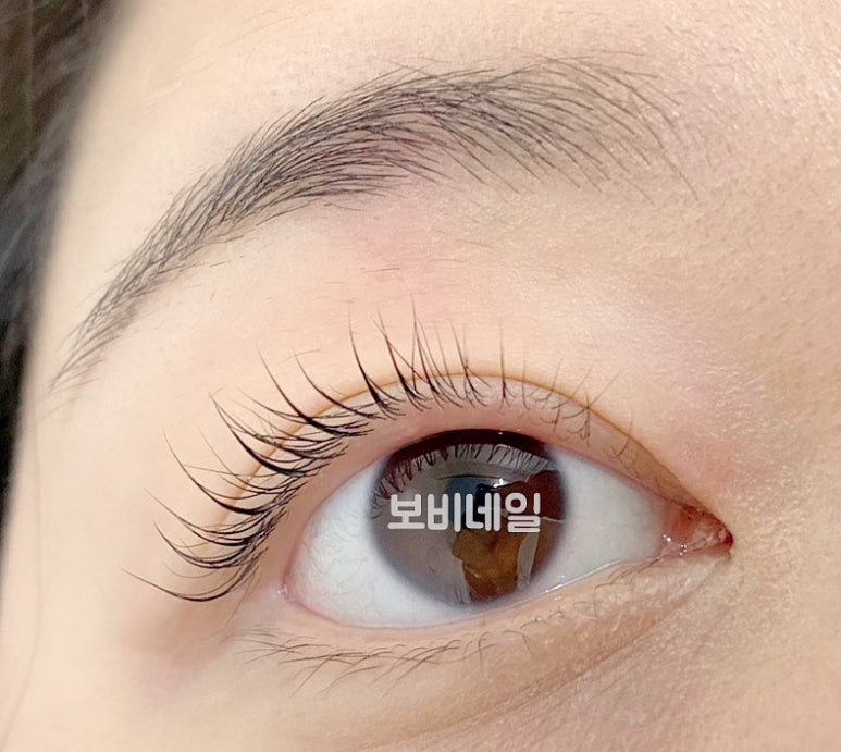 보비네일 이미지