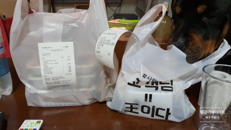 타코in제주 이미지