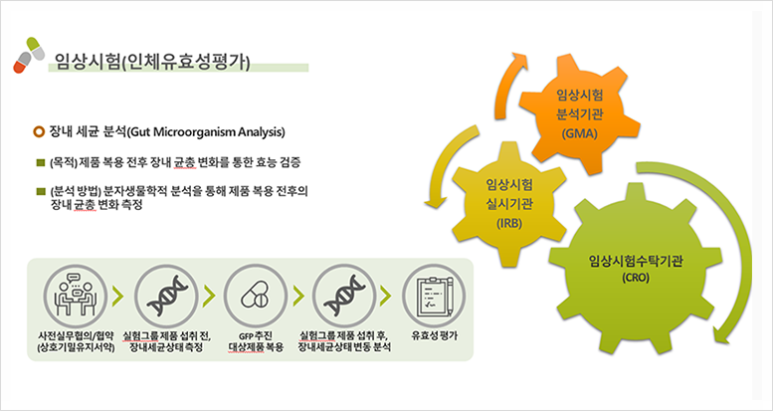 건강식품연구원 이미지