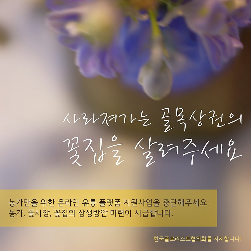 시장꽃도소매 이미지