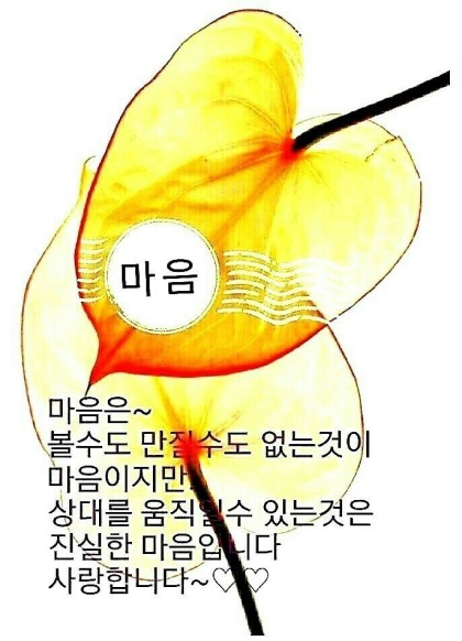 코스플러스 이미지
