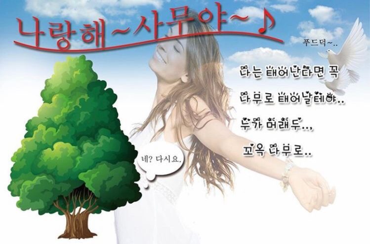 아침일찍일어나는참새 이미지