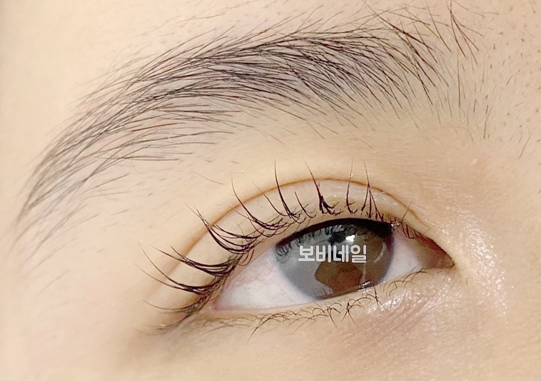 보비네일 이미지