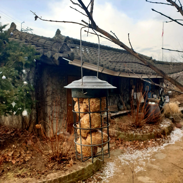 미쿡케이크 이미지