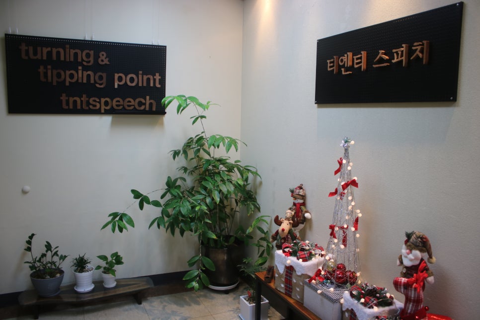 티엔티컨설팅 이미지