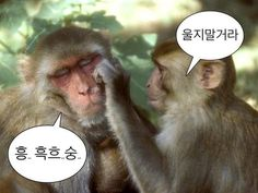 지우ENG 이미지