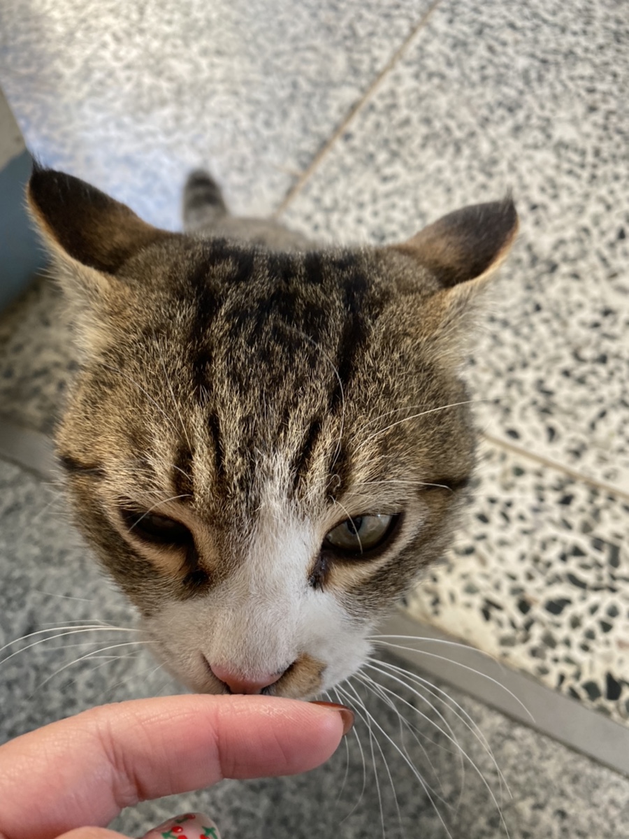 체리쉬공방 이미지