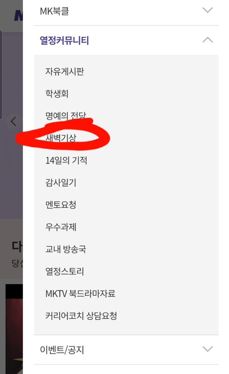더미라클 이미지