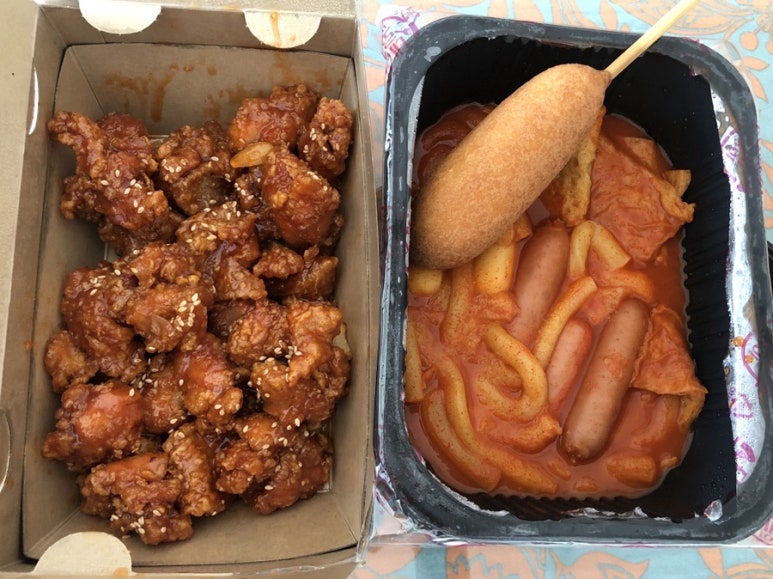 태리교대 이미지