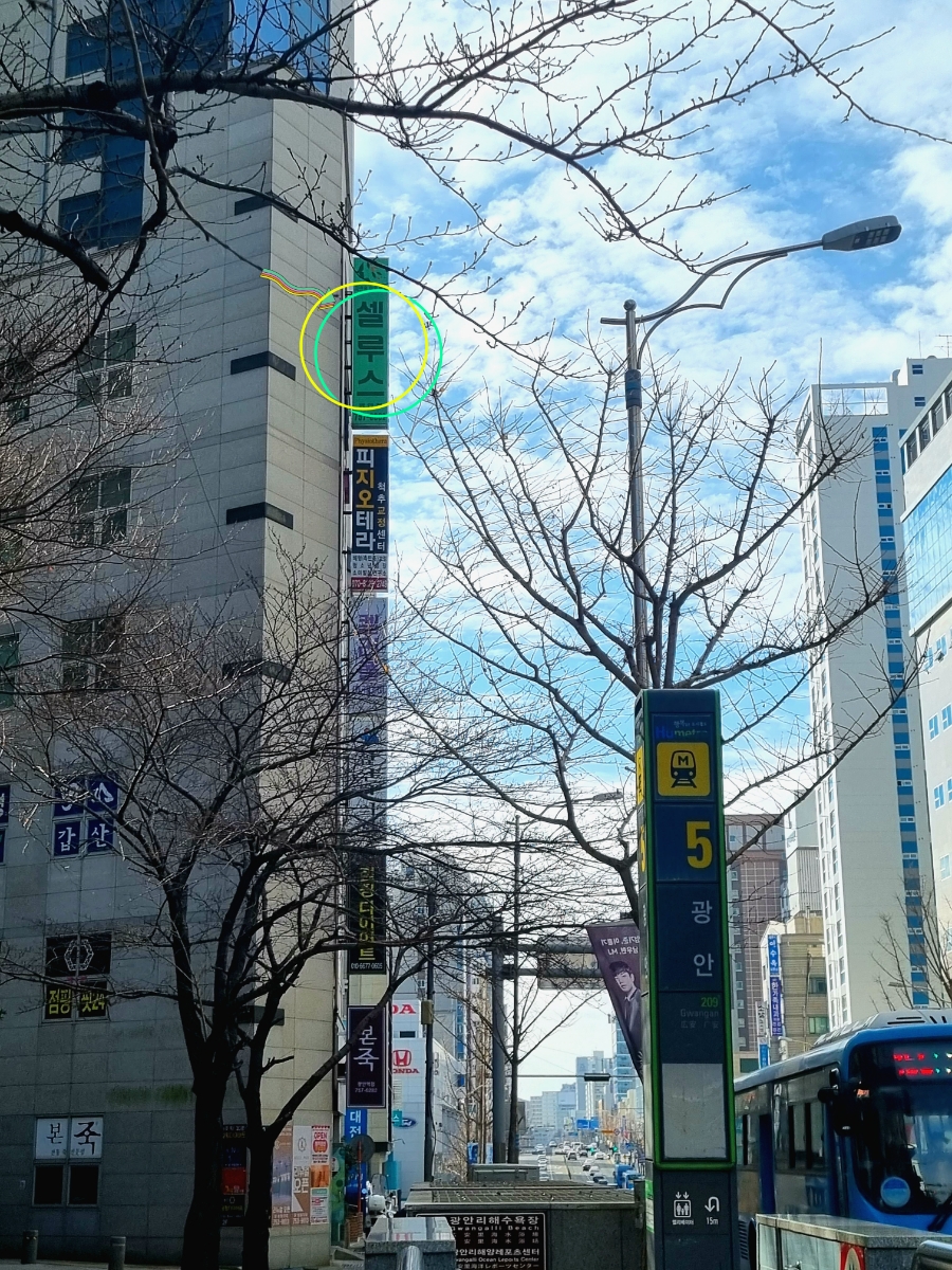 셀루스(광안점) 이미지