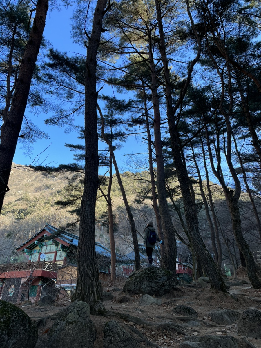 와리바시 이미지