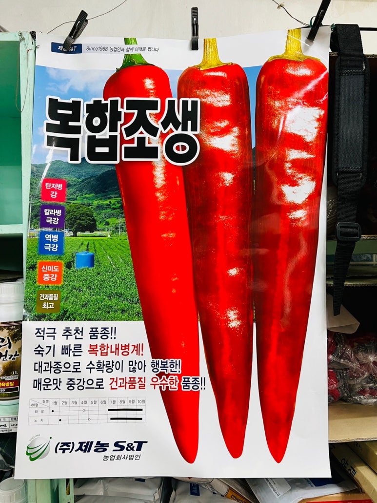 흥농종묘 이미지