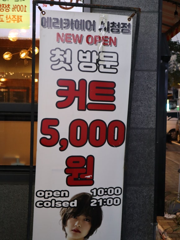 지나에리카 이미지