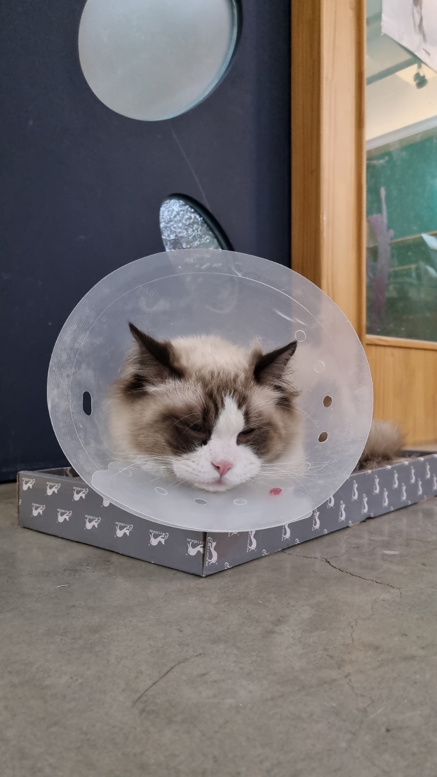 브이아이피샵 이미지