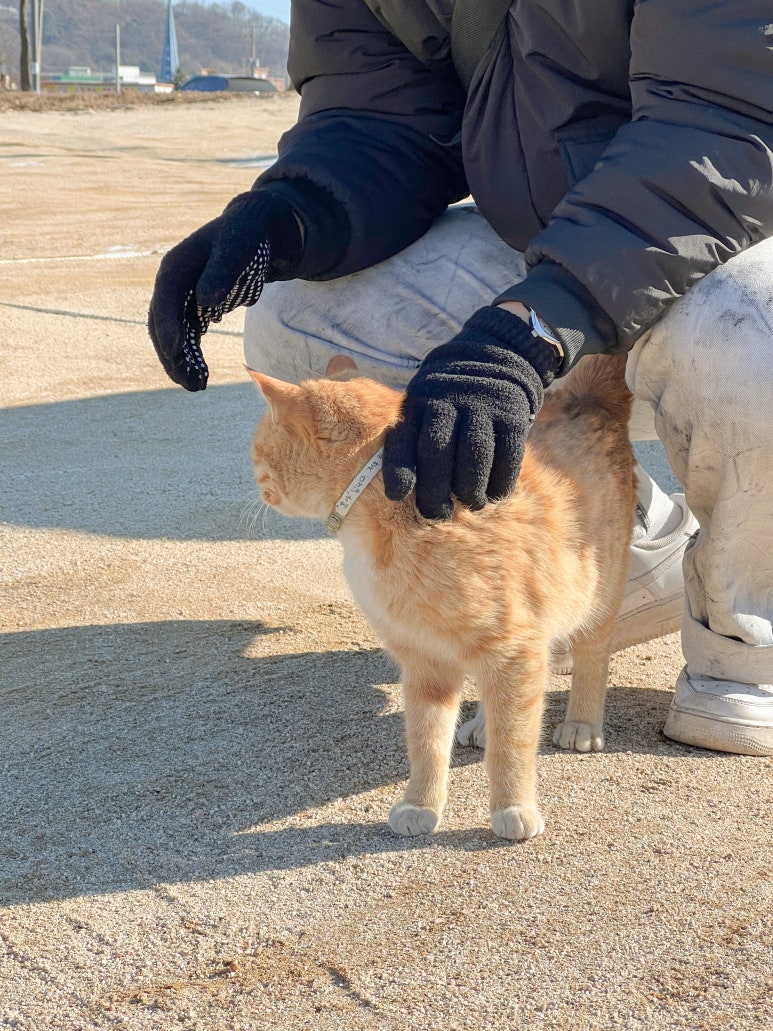 카페지안 이미지