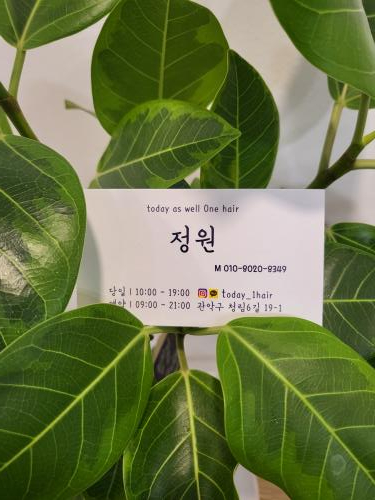 오늘도원헤어 이미지