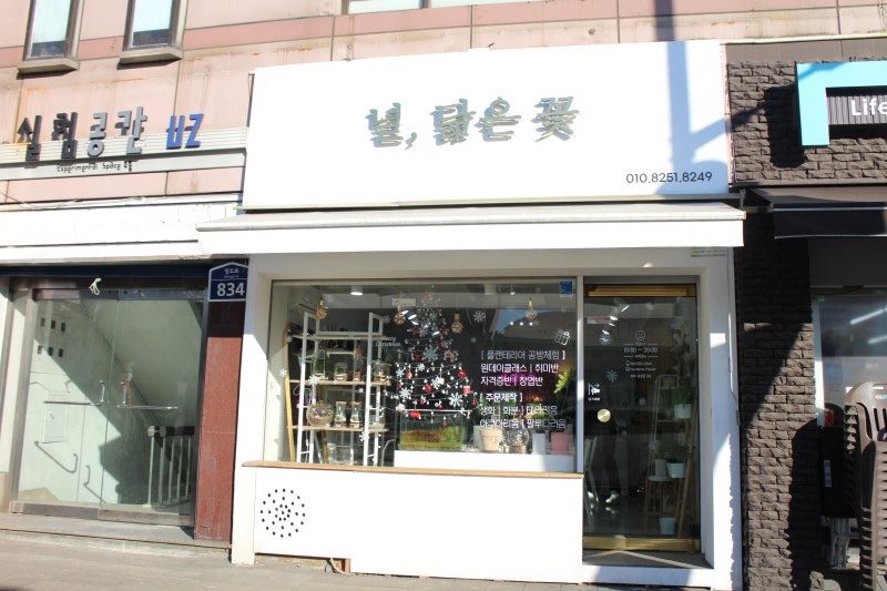 널;닮은꽃 이미지