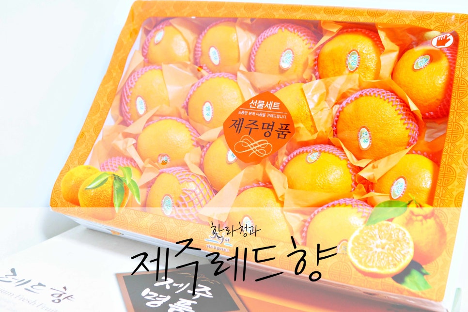 한라청과 이미지