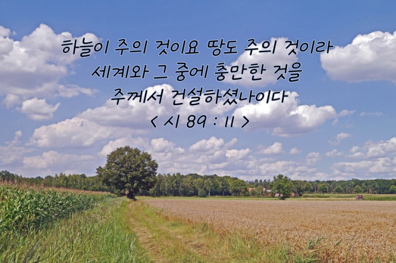 (주)성경건설 이미지