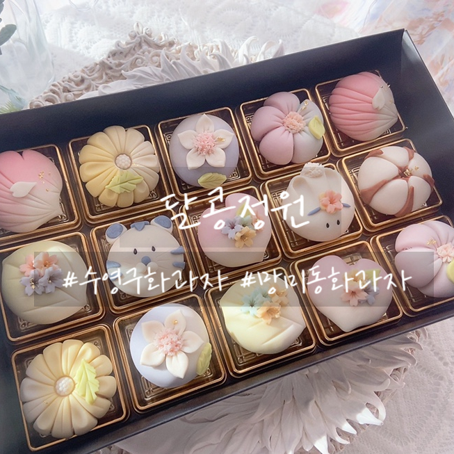 달콩정원 이미지