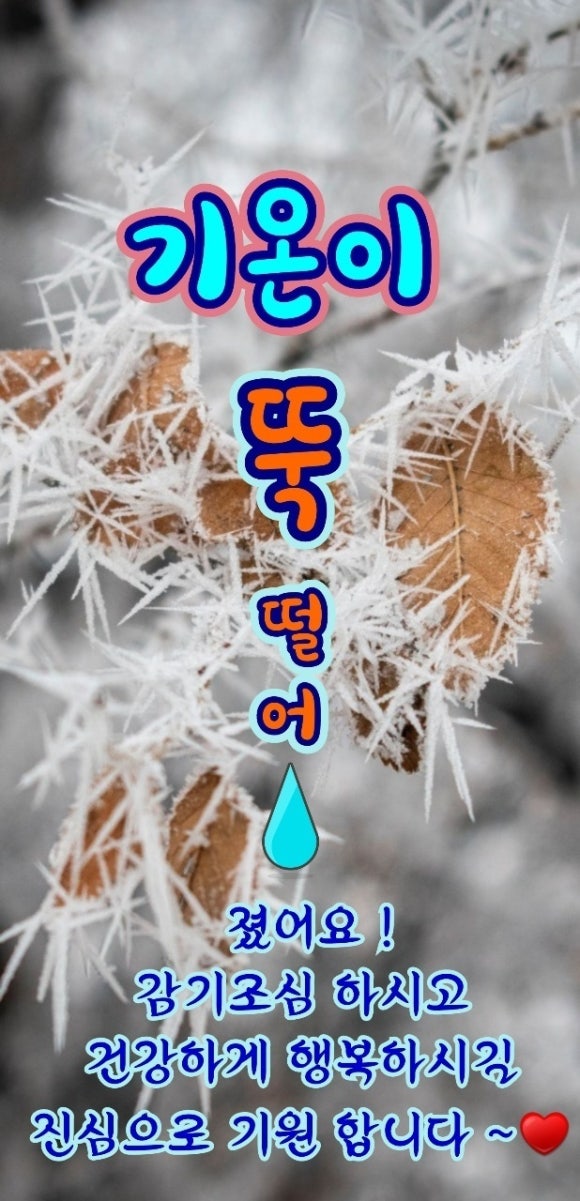 신발총판 이미지