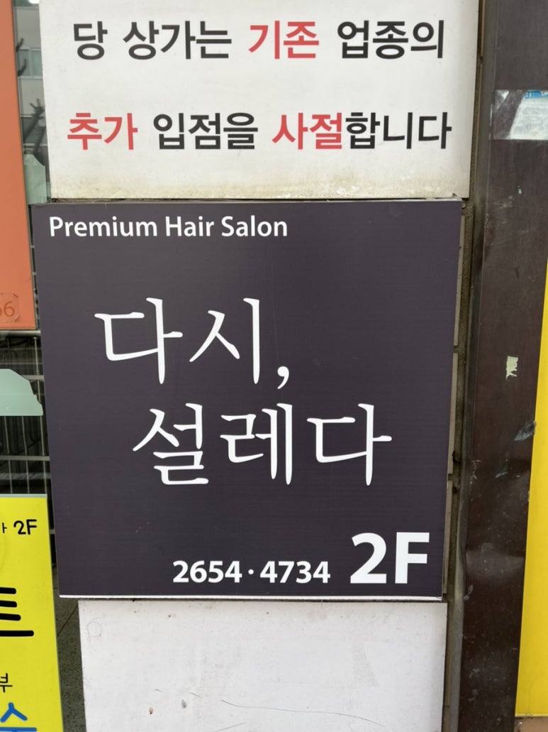 다시설레다 이미지