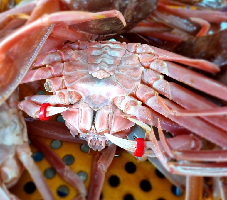 신창수산 이미지
