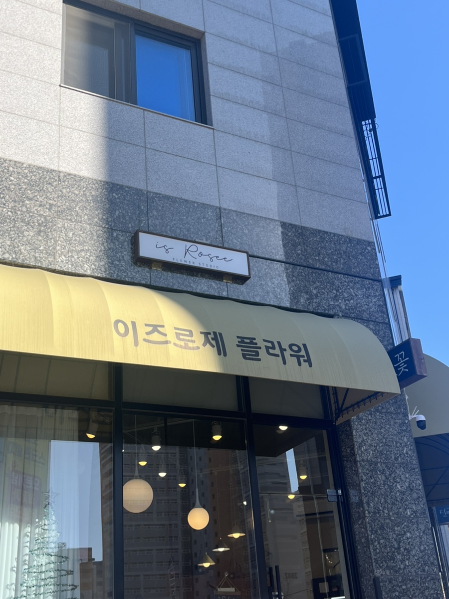 이즈로제 이미지