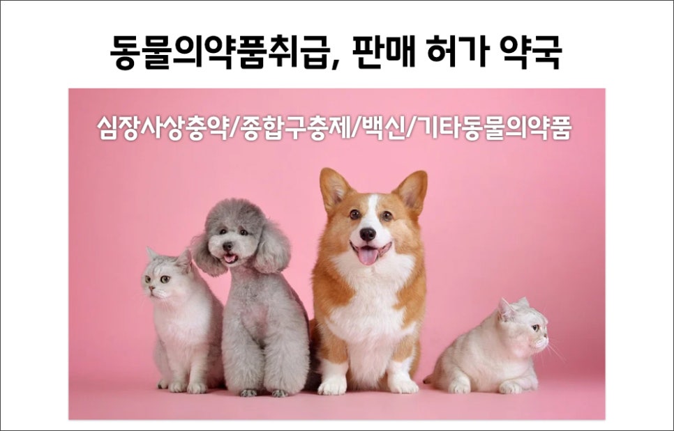 제이엔에이치 이미지