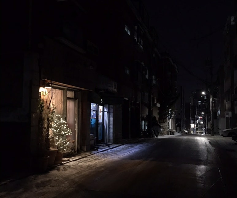 플렌트앤가든케어 이미지