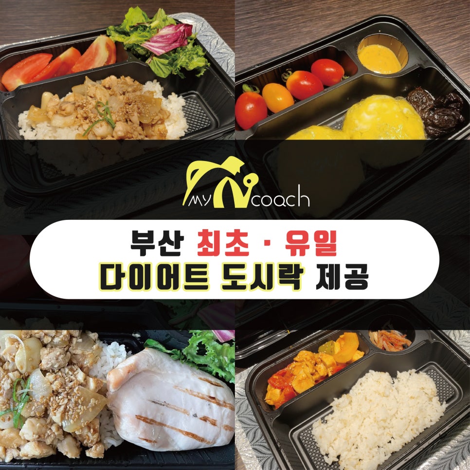 마이앤코치 이미지