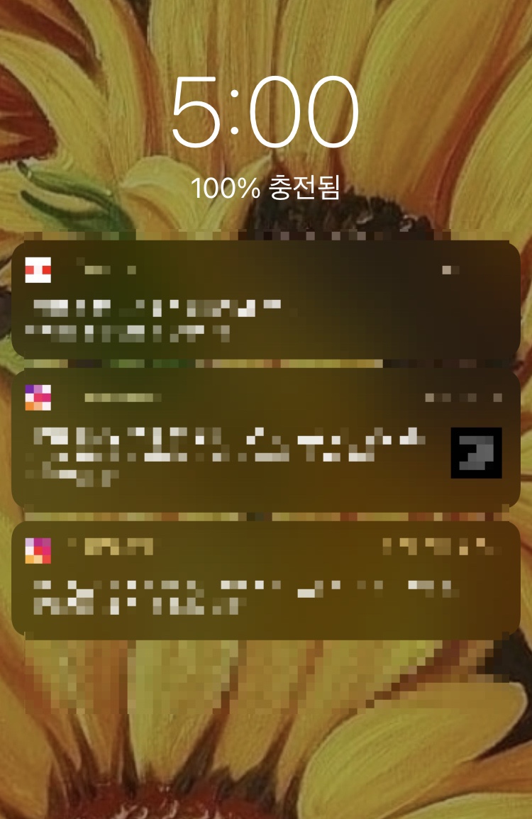 미라클덴트 이미지