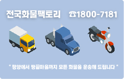 전라카센타 이미지