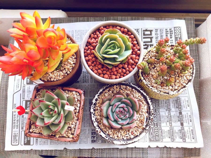 매창슈퍼 이미지