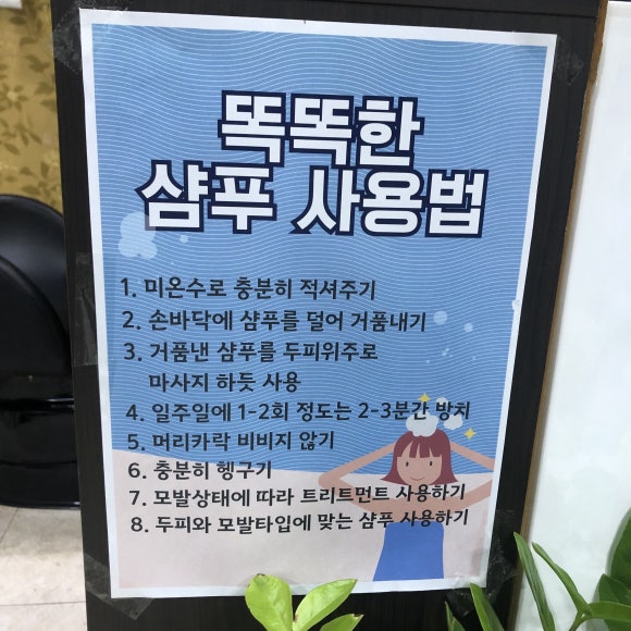 천연머리염색 이미지