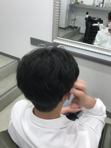 시스템엘르 이미지