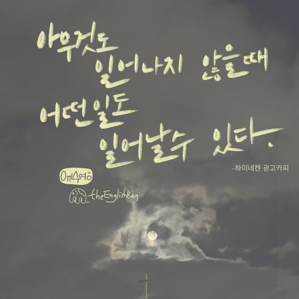 숙이언니 이미지