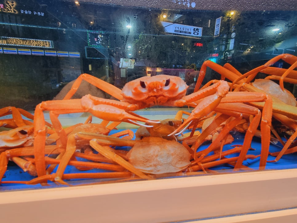 수산명가한창점 이미지