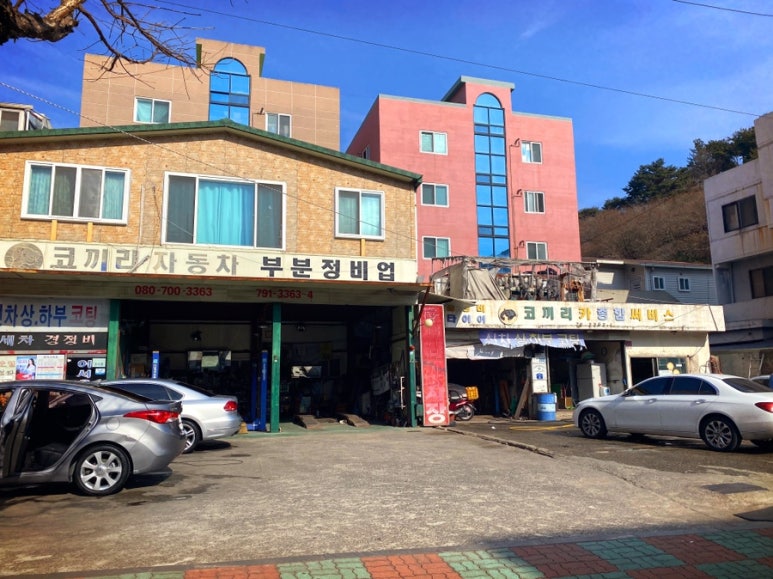 코끼리세차장 이미지