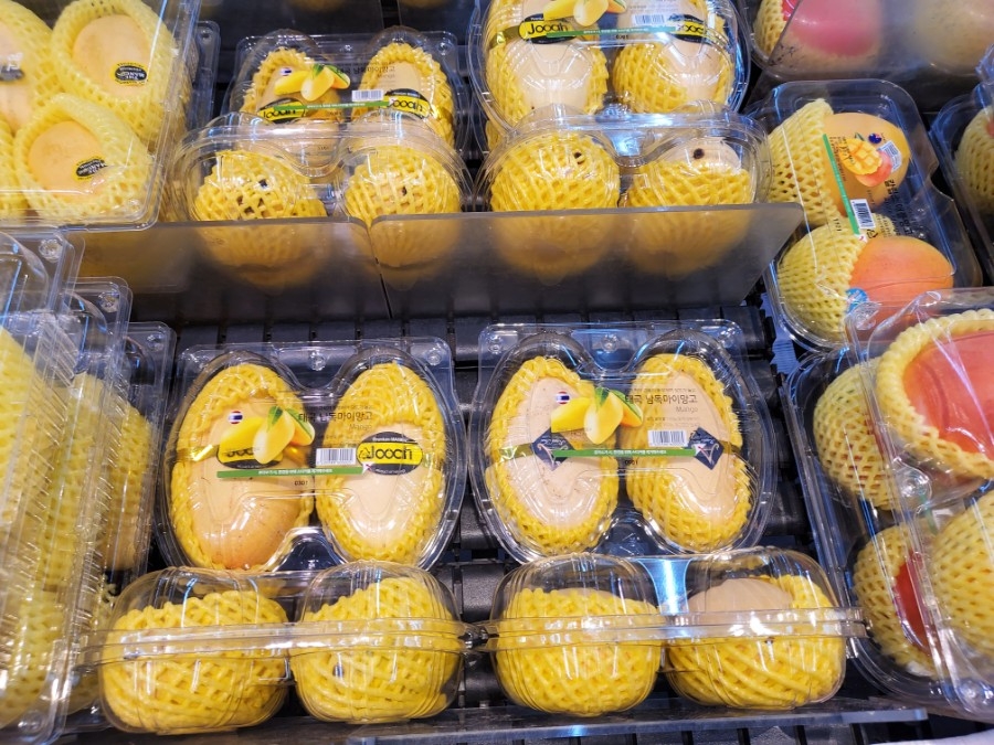 할망네돔베고기 이미지