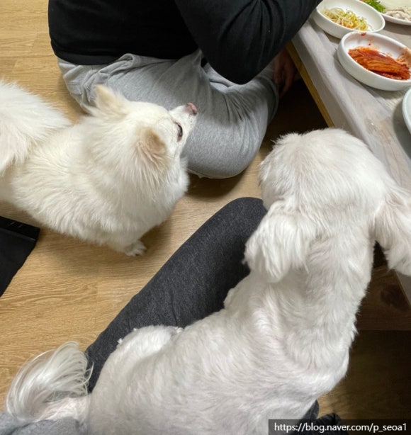 병풍산자락느티나무아래서 이미지