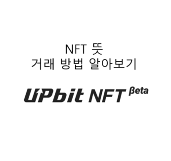 엔에프티 이미지